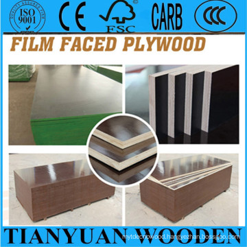 Hot Sell Big Size Plywood for Construction